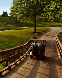 Bears Best Atlanta - Members on golf carts